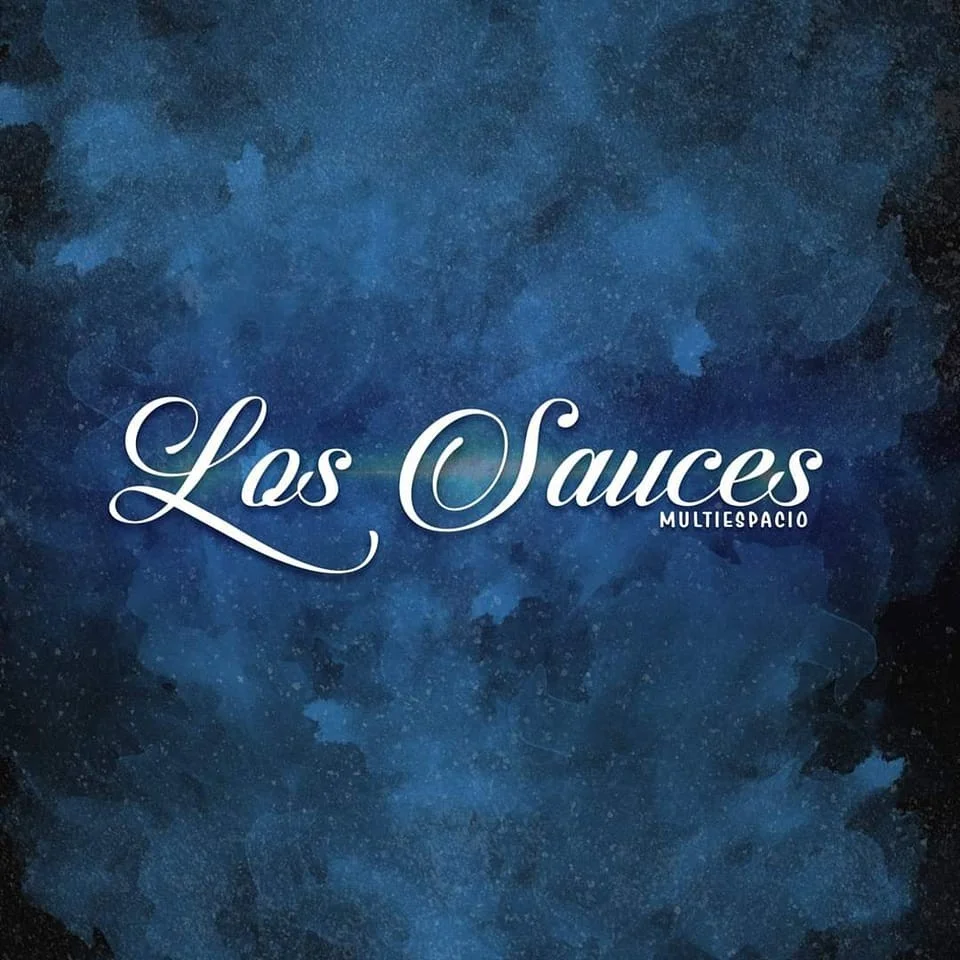 Los Sauces Multiespacio