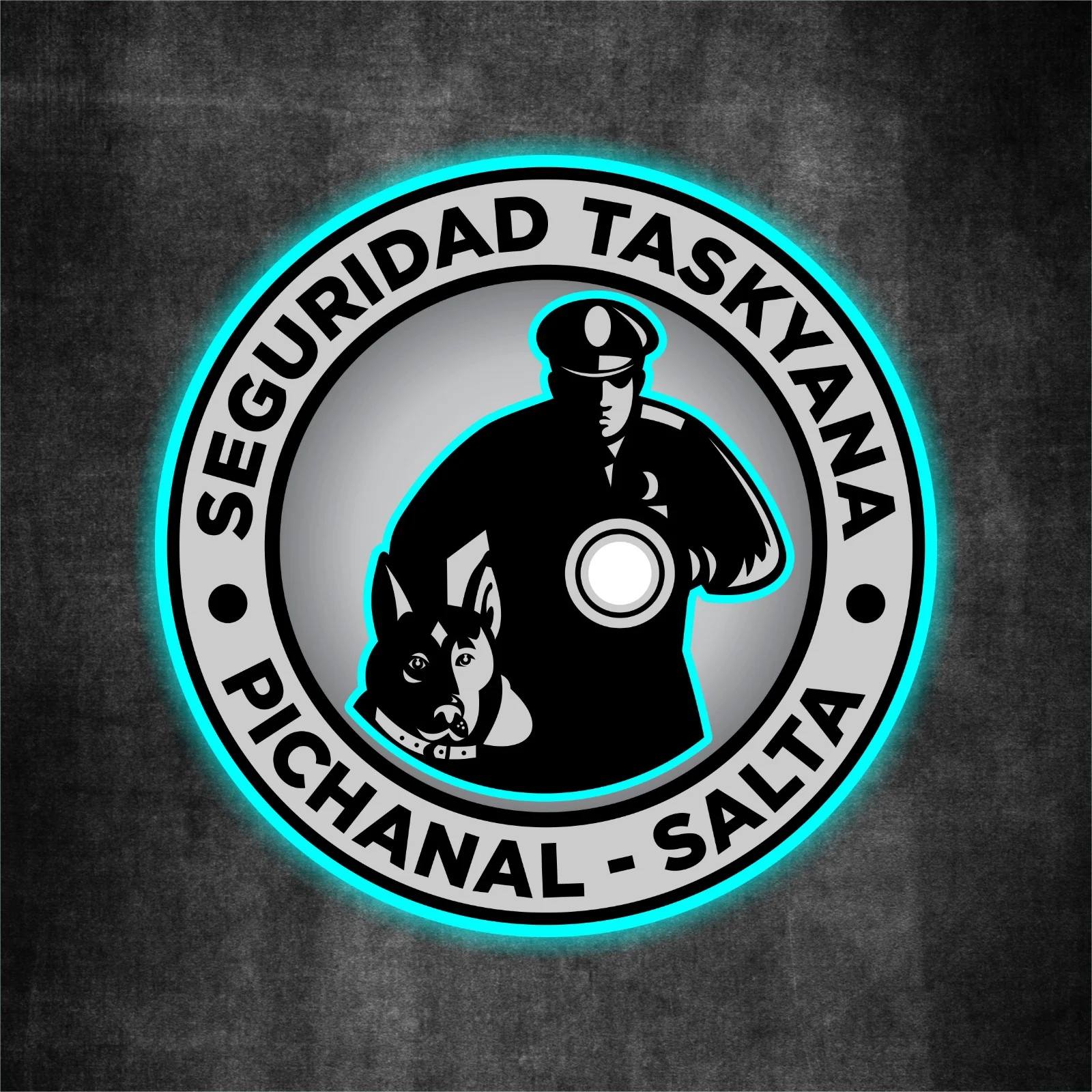 Taskyana Seguridad Privada